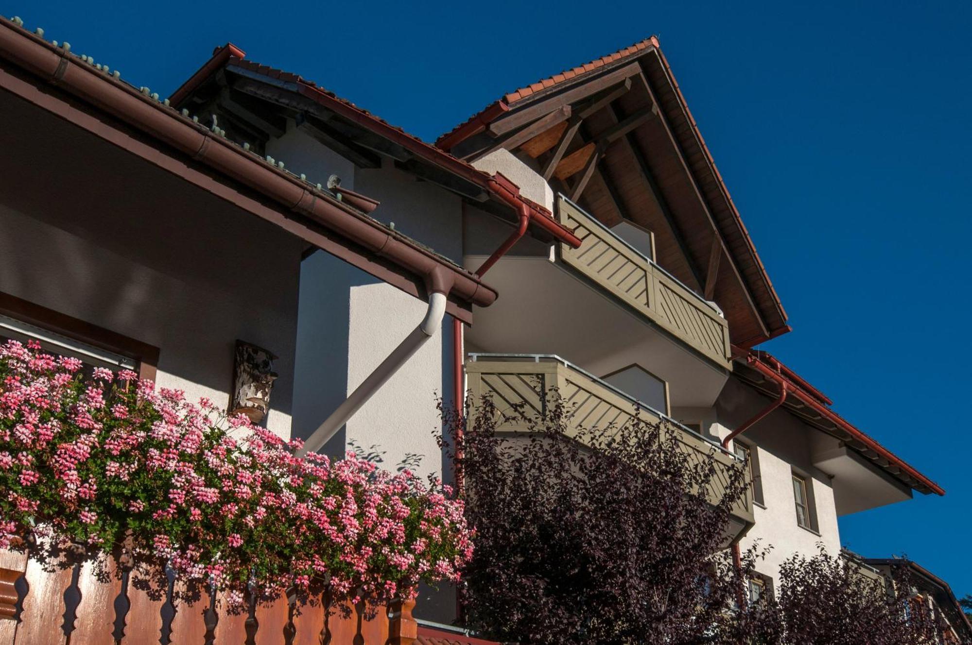 Apartment 03 - Ferienresidenz Roseneck, Mit Schwimmbad In Todtnauberg Bei Feldberg מראה חיצוני תמונה