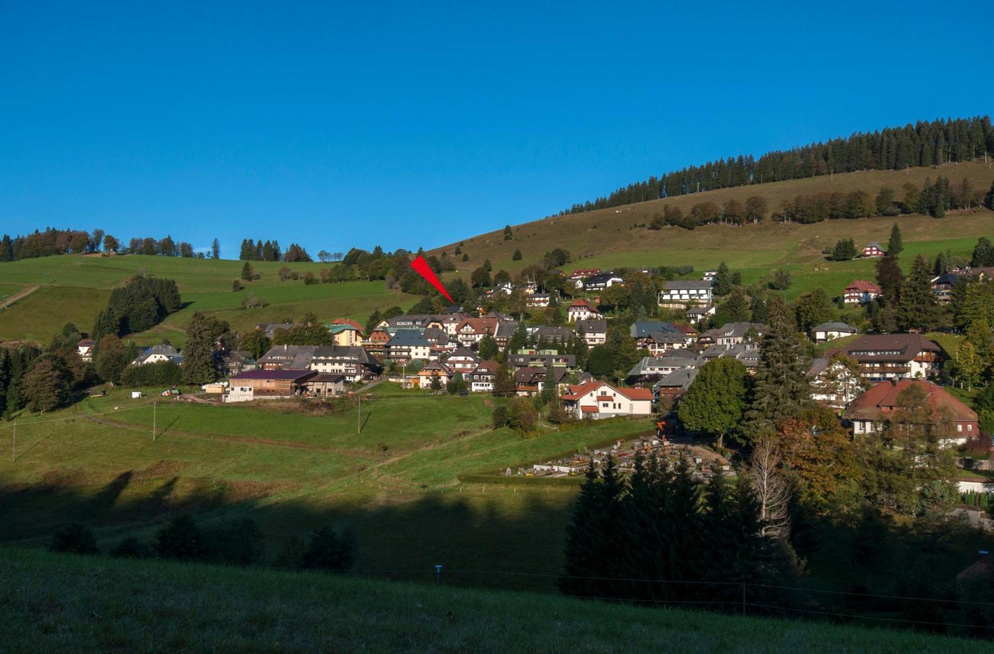 Apartment 03 - Ferienresidenz Roseneck, Mit Schwimmbad In Todtnauberg Bei Feldberg מראה חיצוני תמונה
