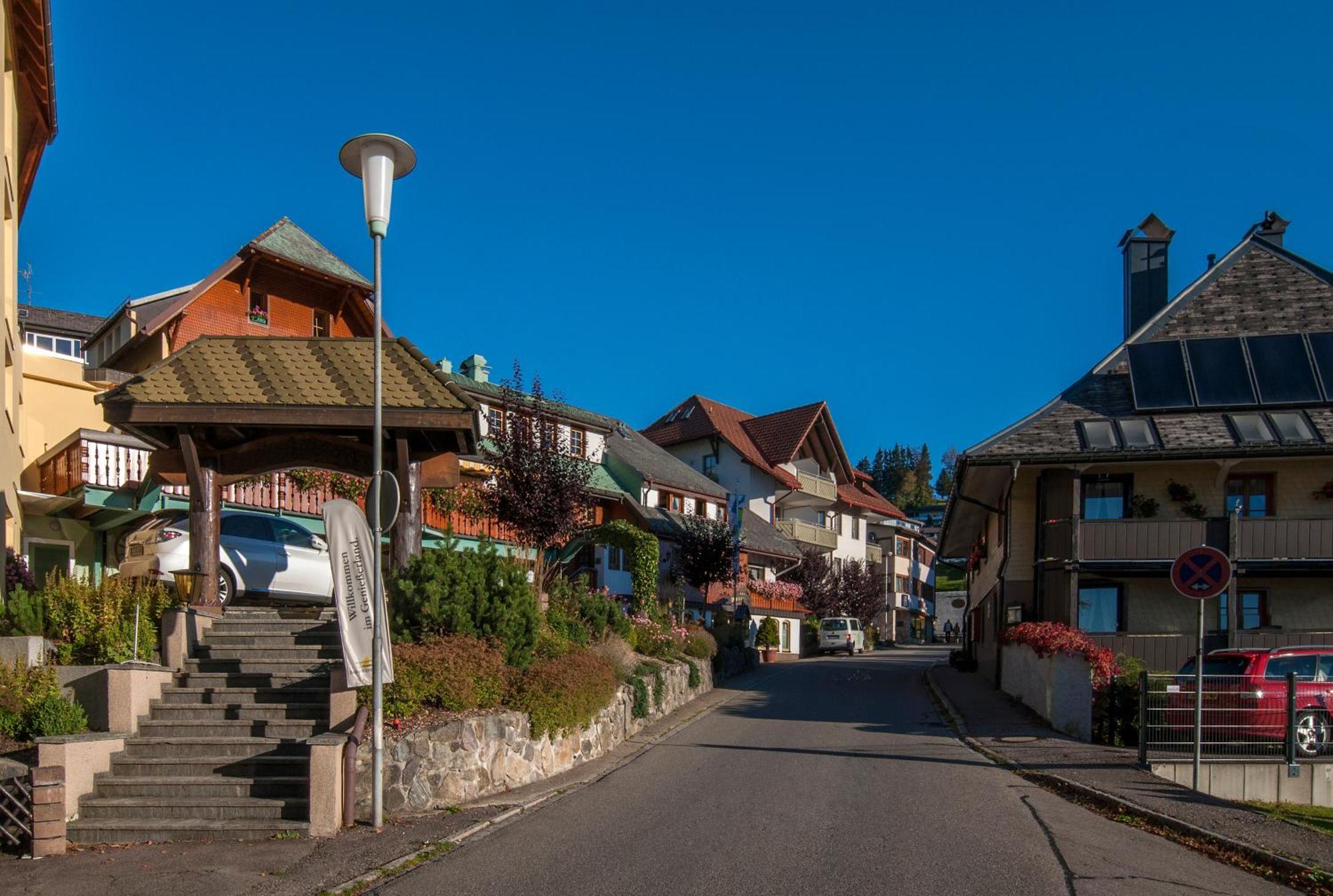 Apartment 03 - Ferienresidenz Roseneck, Mit Schwimmbad In Todtnauberg Bei Feldberg מראה חיצוני תמונה