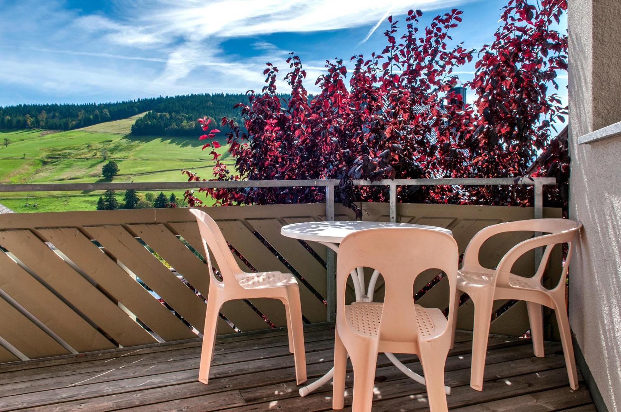 Apartment 03 - Ferienresidenz Roseneck, Mit Schwimmbad In Todtnauberg Bei Feldberg מראה חיצוני תמונה